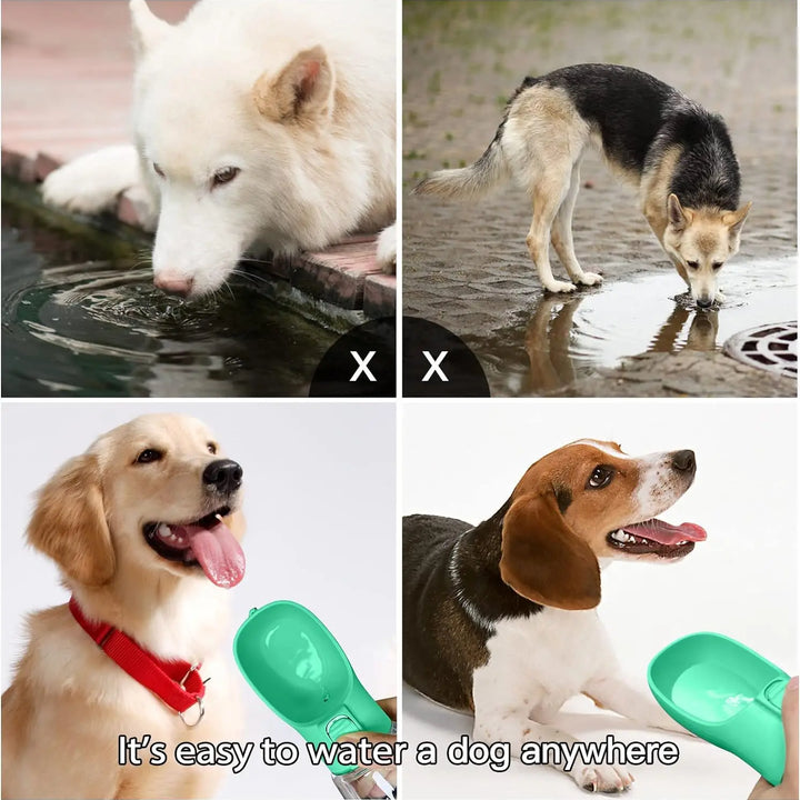 Garrafa de agua portátil para cachorros.